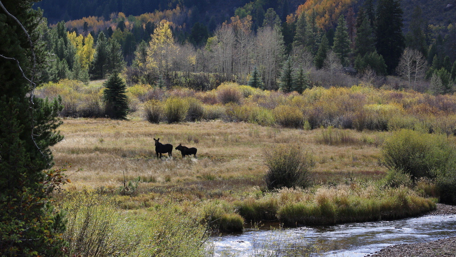 Petition · The Future of Minturn Minturn, United States ·