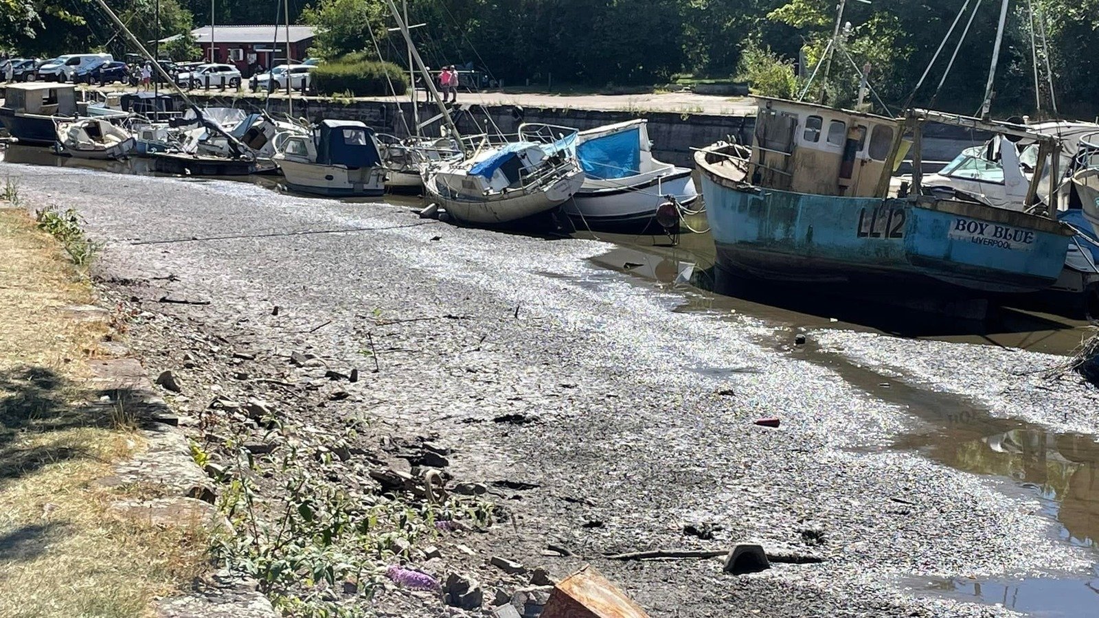 Petition · Halton Borough Council should face criminal investigations