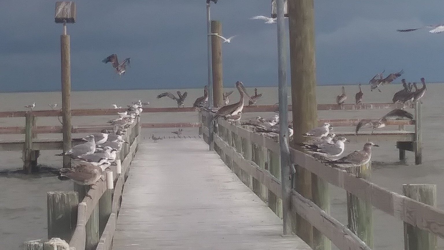 Petition · Rebuild the lighted fishing pier in Austwell, Texas that
