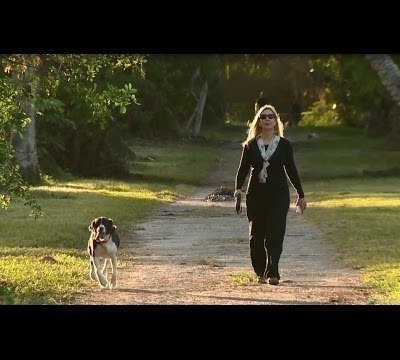 Petition Update 5 250 Stronger Call To Action Environmentally Endangered Land Archeological Site Change Org