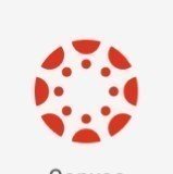 Petition Stop Using Canvas In Frisco Isd Change Org