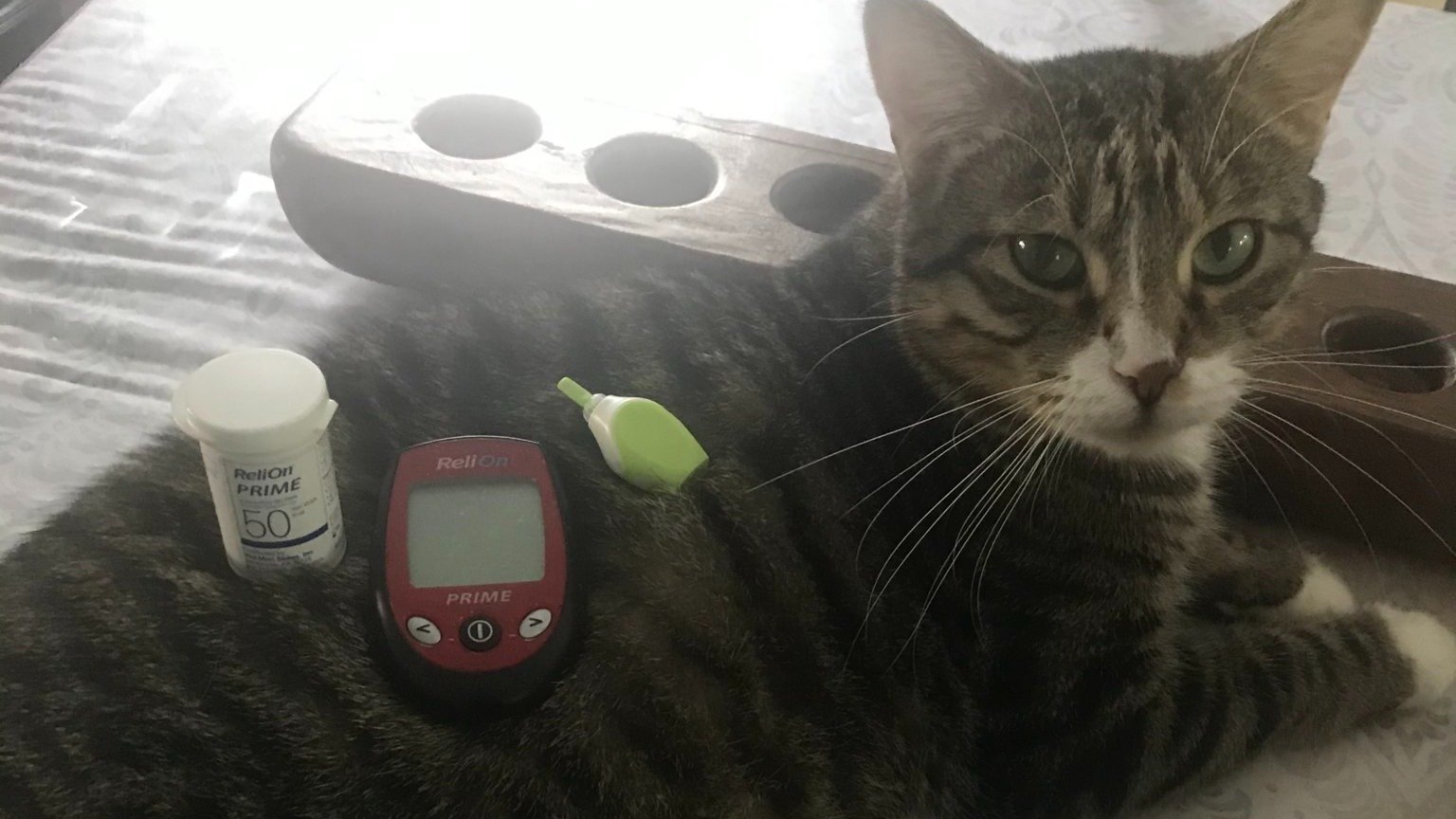 Petition · Approve Lantus Drug For Use In Animals. United States