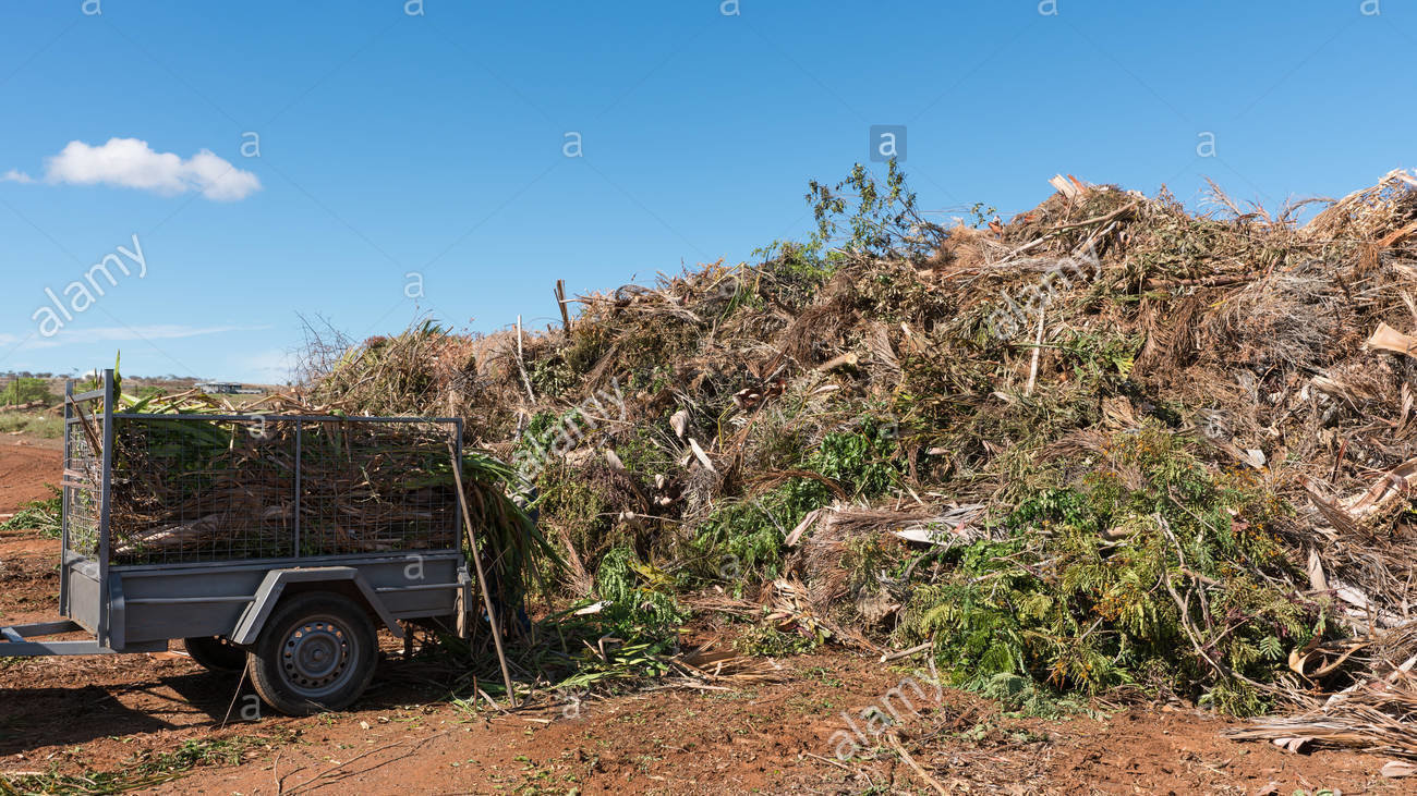 Petition · CHANGE COUNCIL POLICY TO ALLOW FREE DISPOSAL OF GREEN WASTE