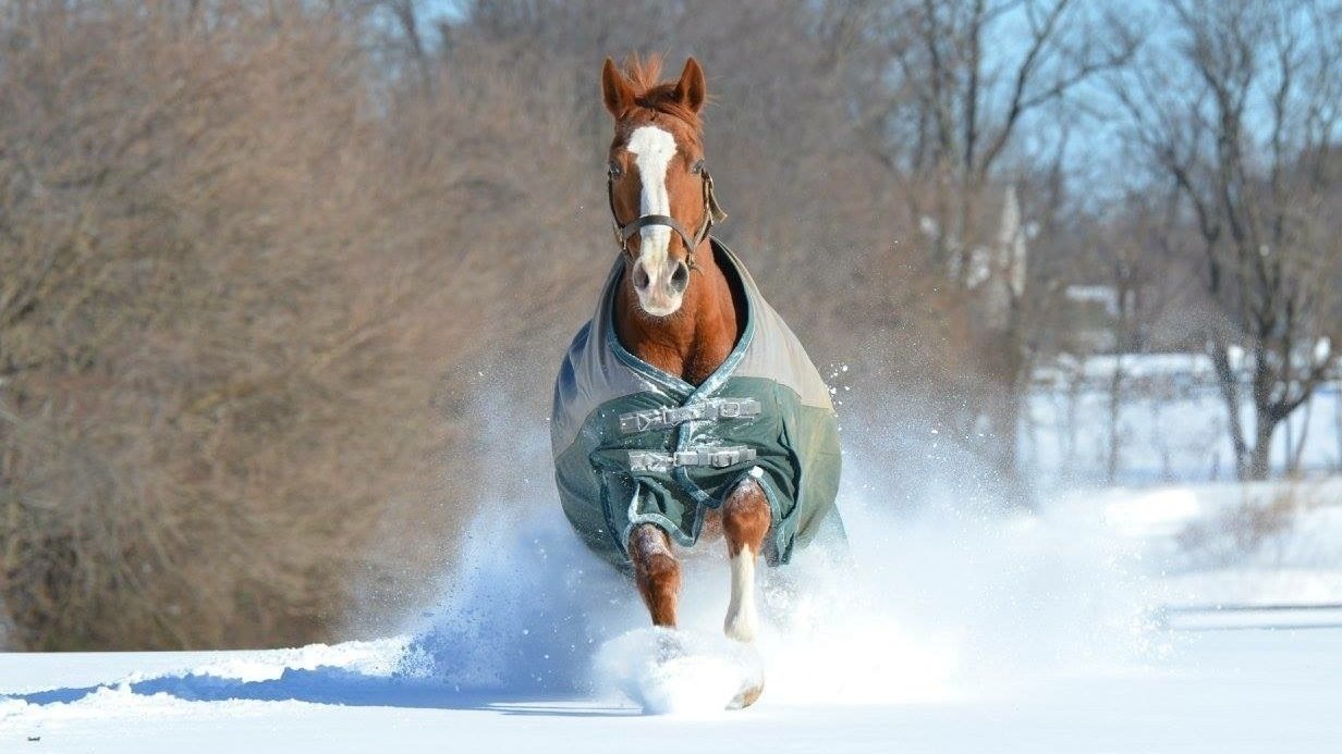 Petition · PG County Maryland County Executive Prince