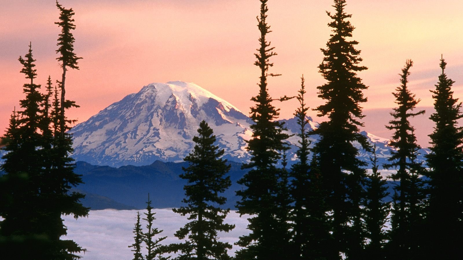 Petition · Change the Official Name of "Mt. Rainier" to Original Native