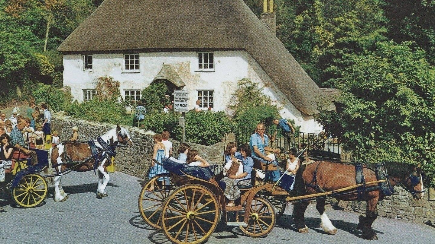 Cockington Sign Petition · Help Keep The Heritage of Horses in Cockington Alive ...