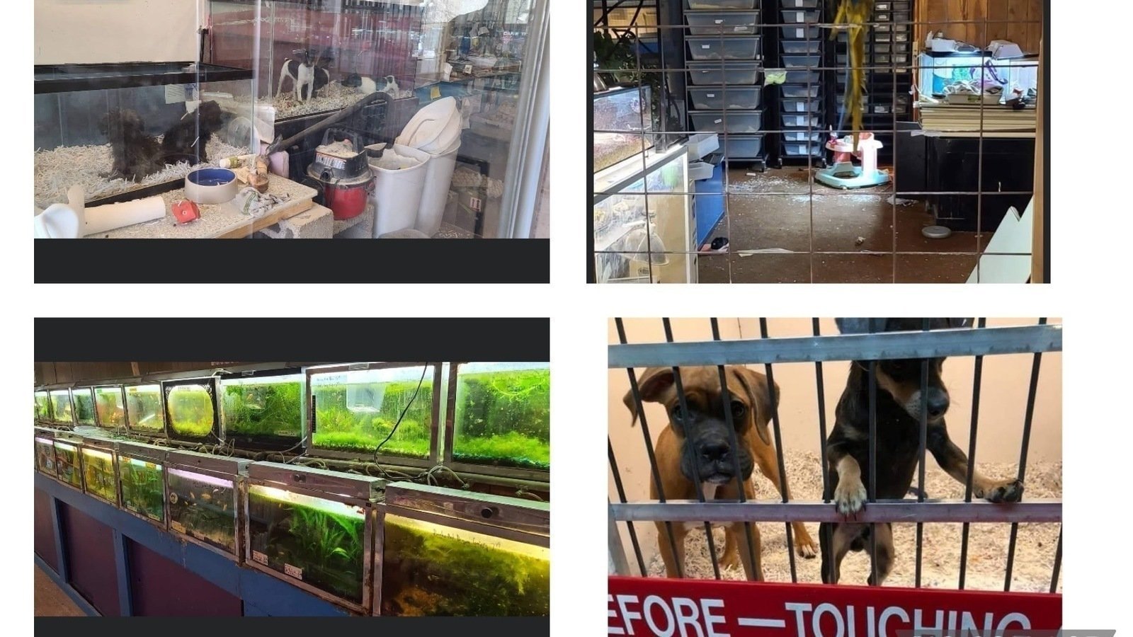Petition SHUT DOWN JACKS PET STORE United States Change petition-shut-down-jacks-pet-store-united-states-change