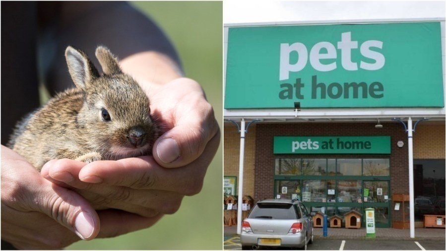 Petition · To Stop pets at home selling animals. ·