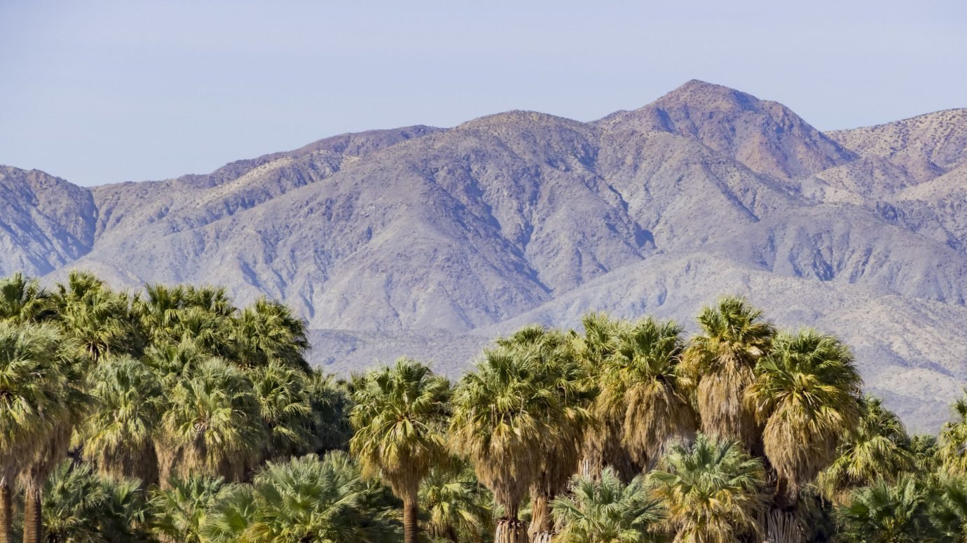 Southern California Edison Billing