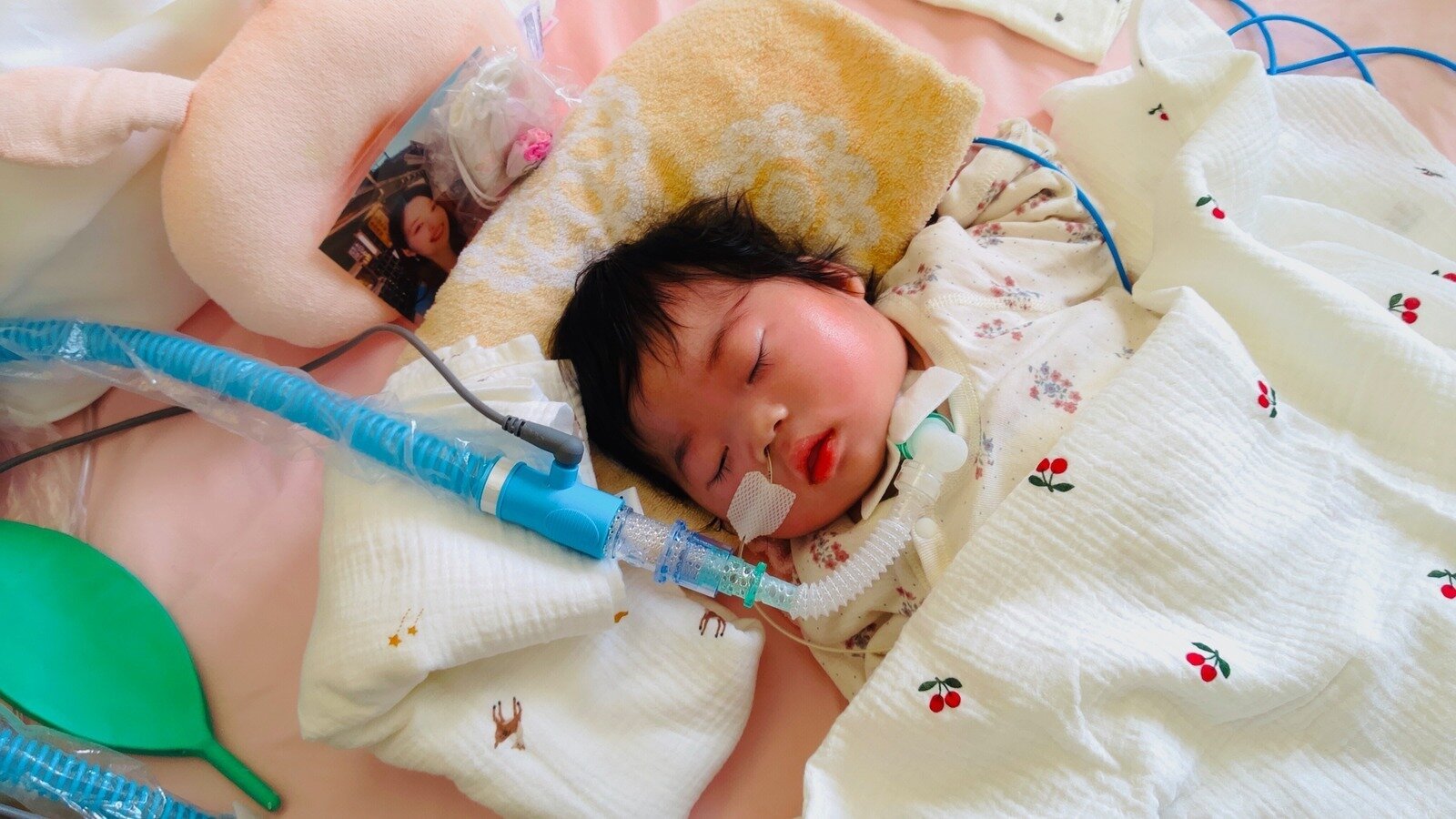 Petition update · 公判のご報告と、求刑に対する家族の考え · Change.org