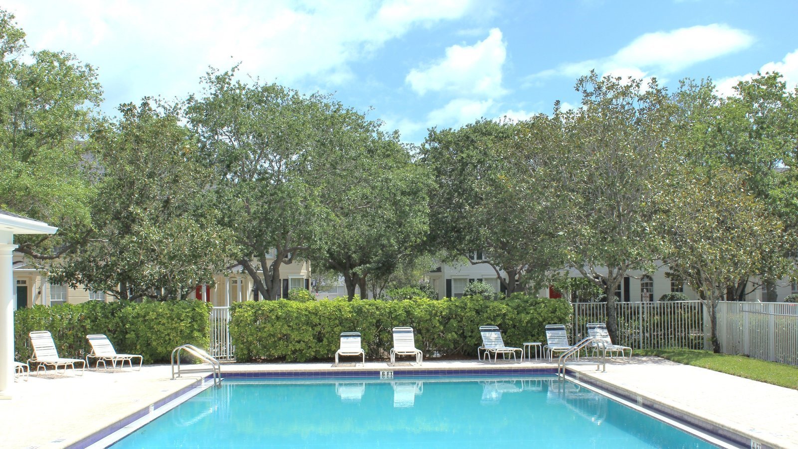 Petition · Open New Haven Pools ·