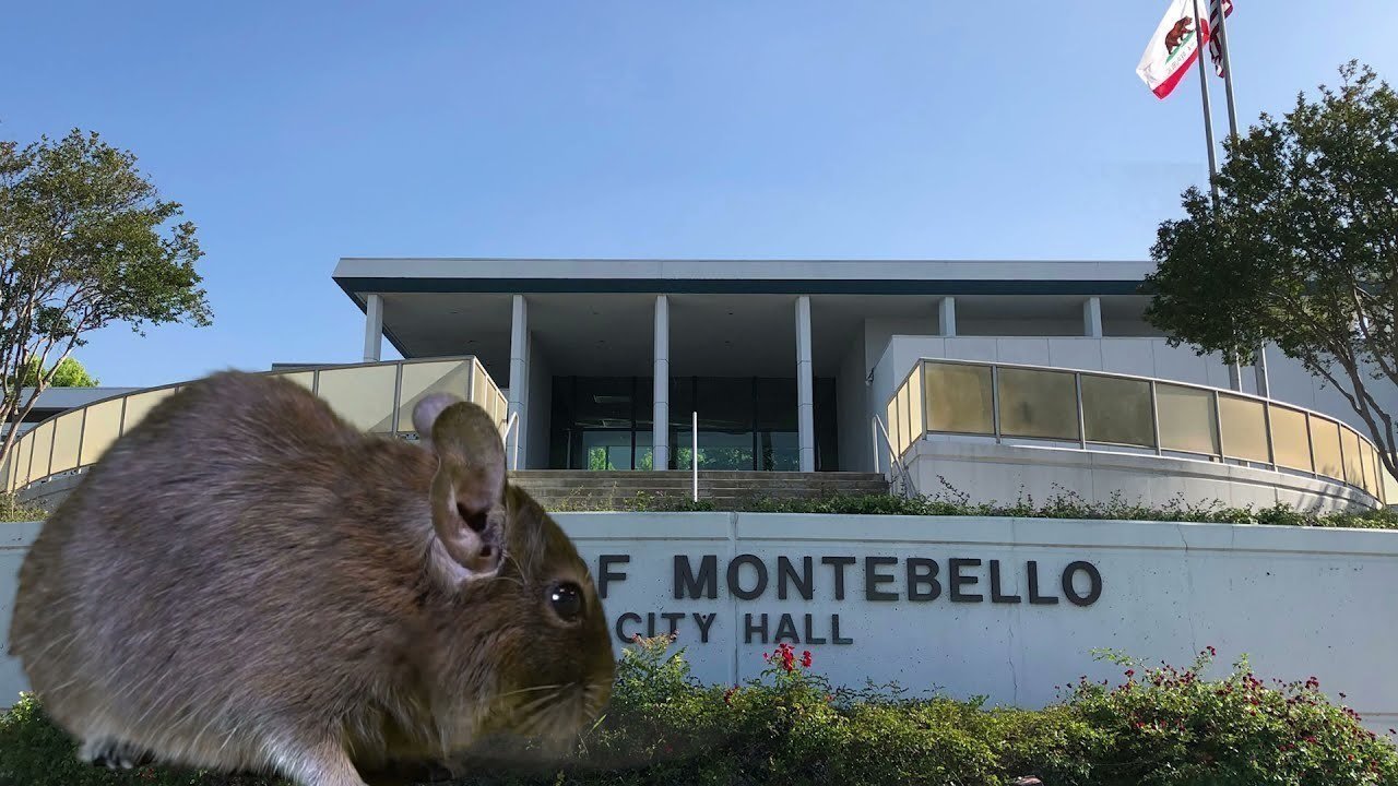 Petition · STOP the City of Montebello from designating the municipal golf  course as "Surplus." · Change.org