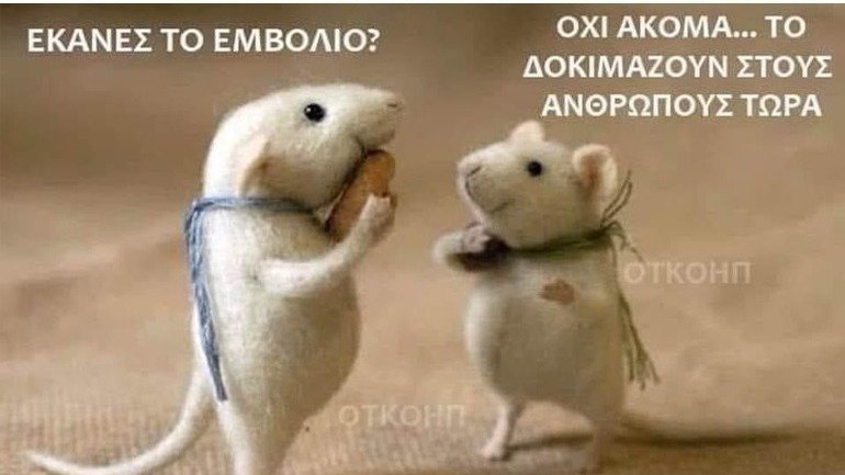 Petition Stop The Unconstitutional Forfeithre Greece Change Org Petition Stop The Unconstitutional Forfeithre Greece Change Org