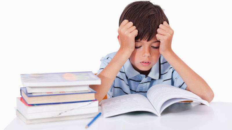 Homework statistics 2020 image