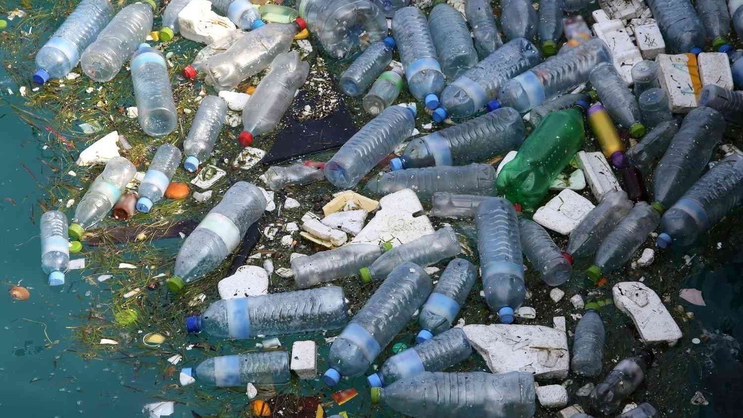 Petition · Banning Plastic Water Bottles United States ·