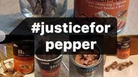 butcher and bushel dog food