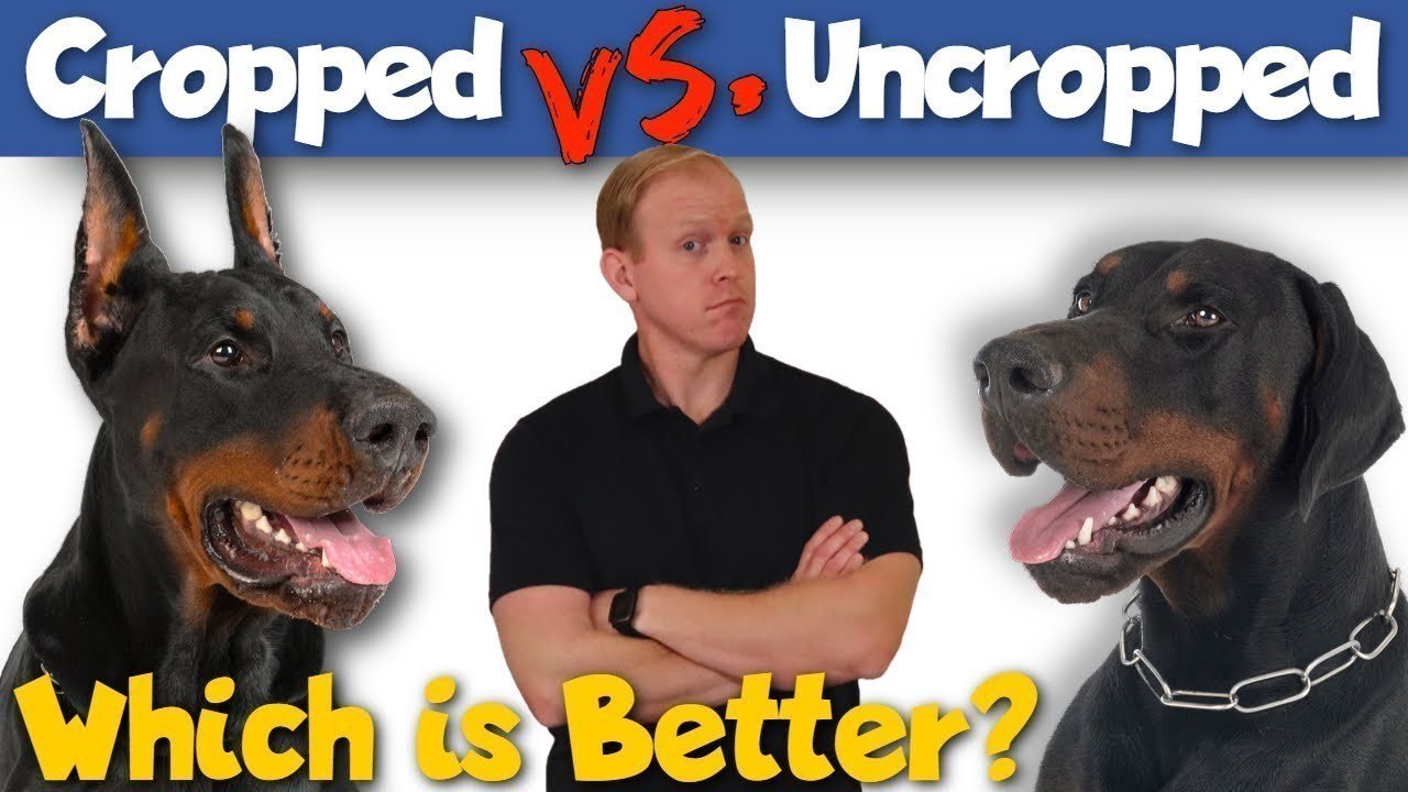 Petition · Ban Docktailing and Ear Cropping United States ·