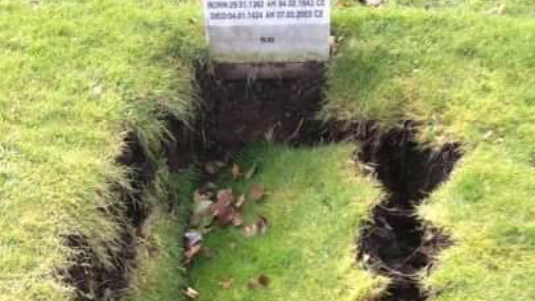 Petition · BE ALLOWED FLOWERS 2 to 3 INCH EDGINGS MARKING THE FULL