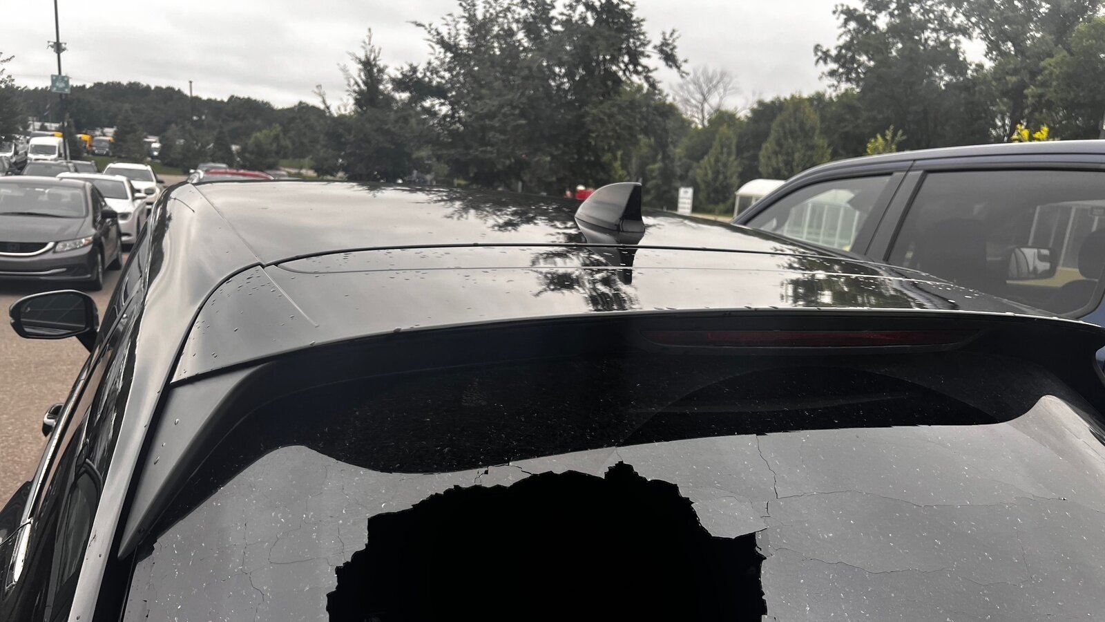 Petition · To install security cameras or hire a security team for