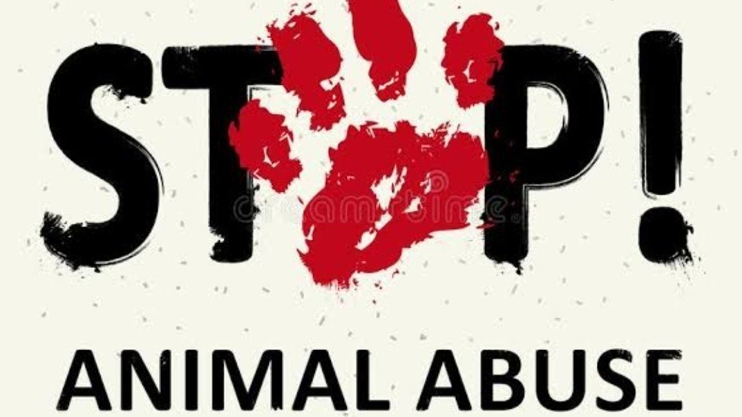 petition-protec-the-animals-philippines-change