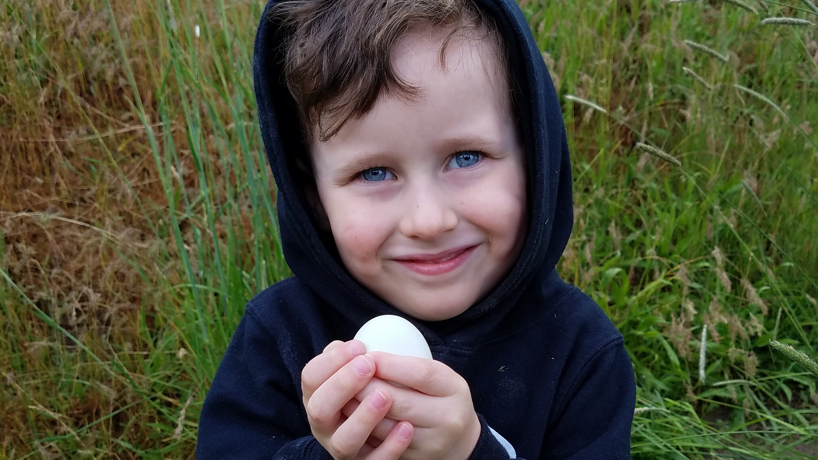 Petition · Allow Backyard Chickens in Garden City, Idaho Garden City