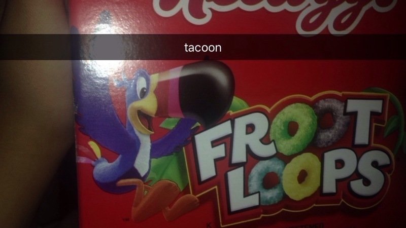 Tacoon