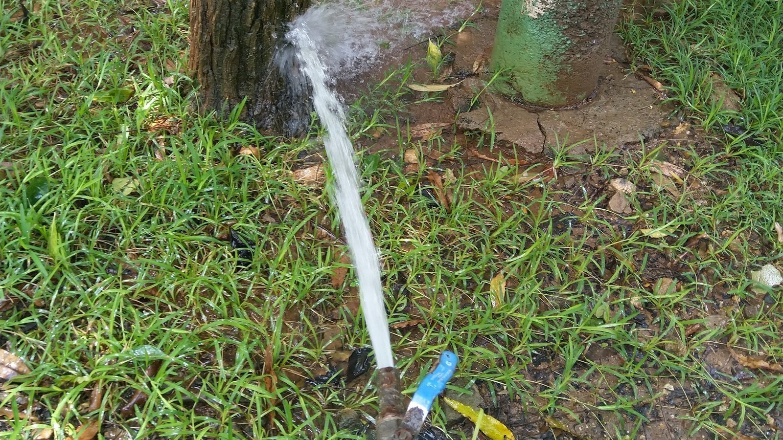 Petition · Save Coimbatore's iconic Siruvani water India ·