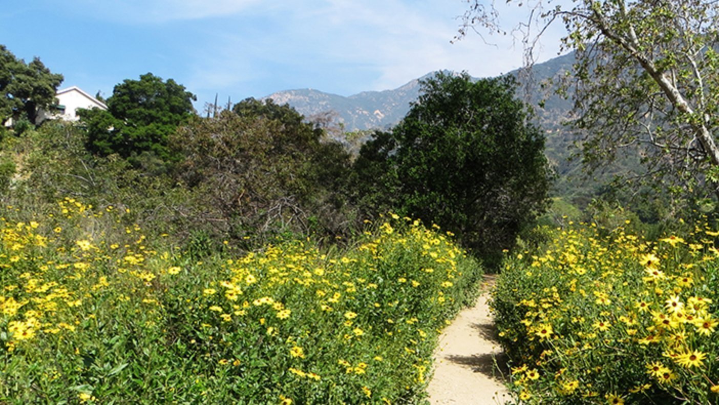 Petition · OPEN LOS ANGELES TRAILS FOR PEACEFUL HIKING Los Angeles
