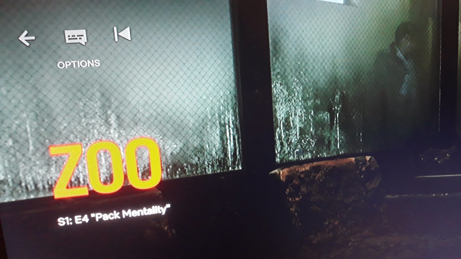 Petition · Netflix To Take On The show "ZOO" United Kingdom ·