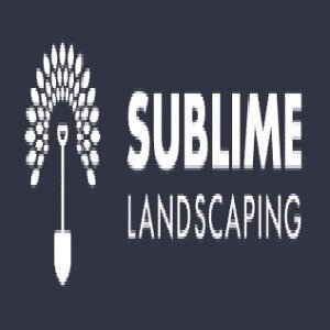 ChangeOrg profile picture for @sublime