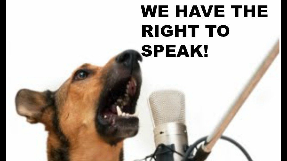 Petition · CHANGE THE WAY THE NOISE ORDINANCE FOR DOG BARKING IS