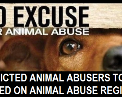 Organization Profile