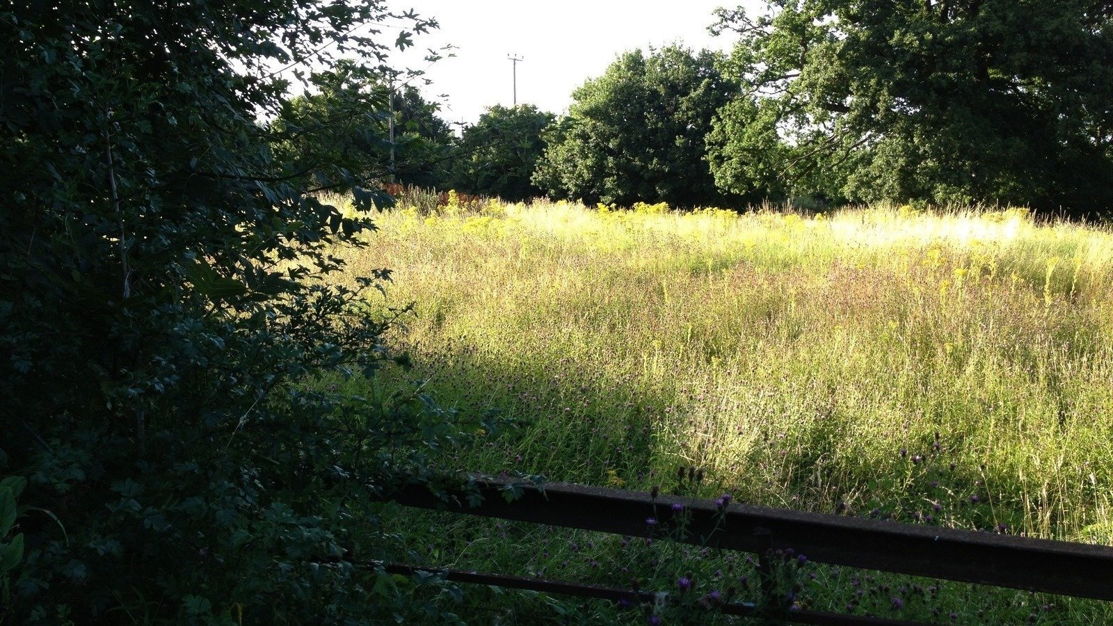 Petition · Object to planning proposal 13/1291, Land North of Howland