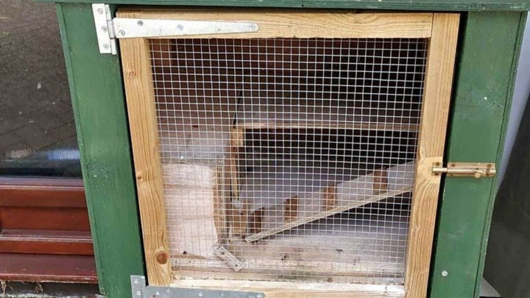 Petition · End Inhumane Selling of Rabbit Hutches on Facebook