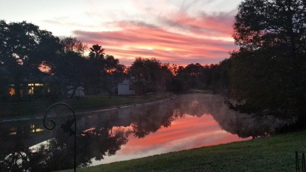 Petition · Disband Riverside Village Estates HOA United States