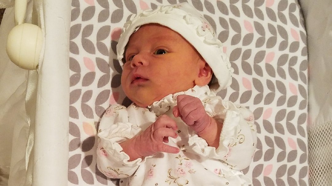 Petition · Combined Medical and Dental Benefits ·