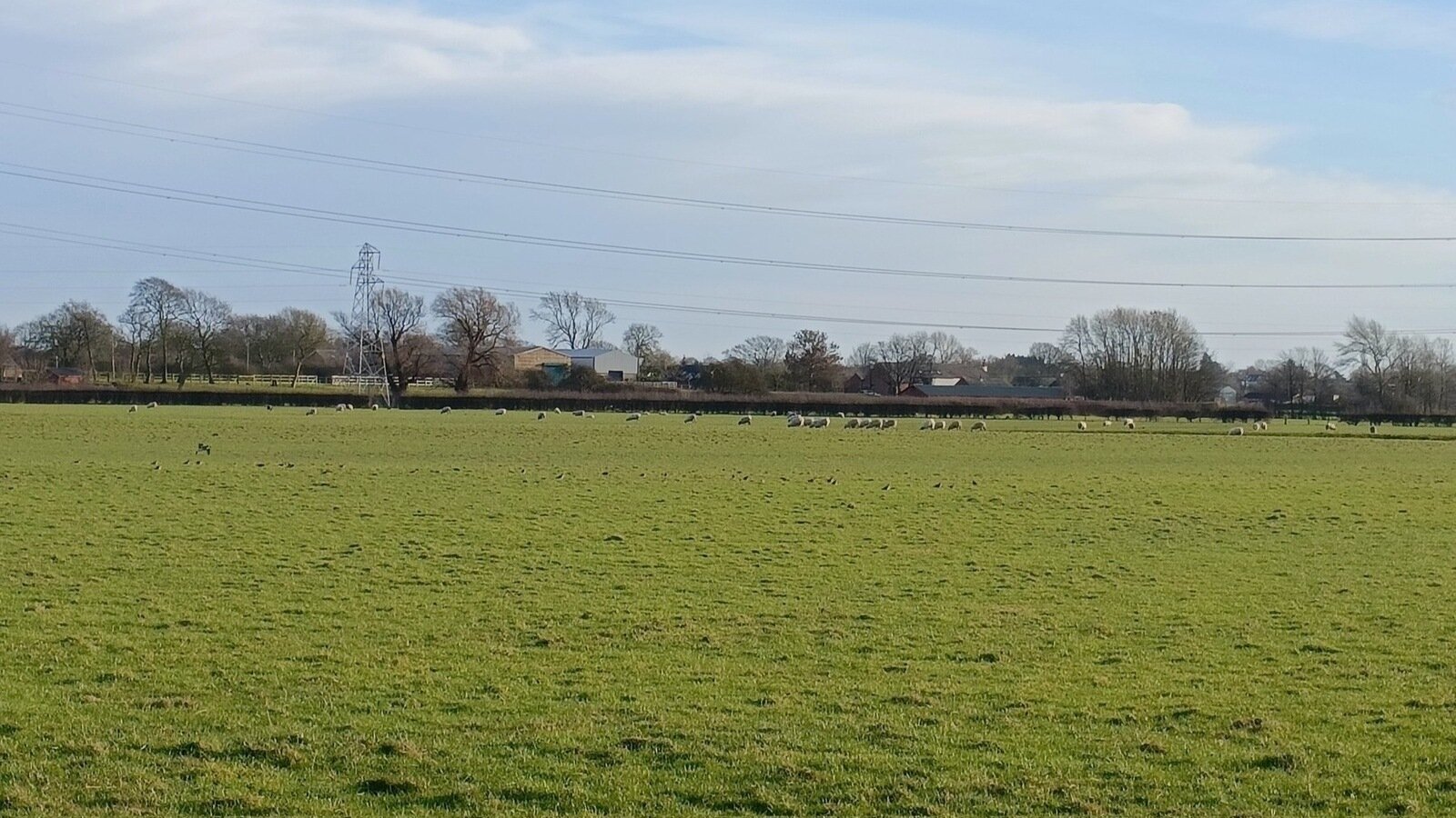 Petition · Save Longton Greenbelt Longton, United Kingdom ·