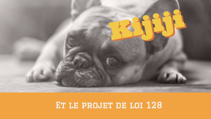 Petition Update Chiots à Adopter Sur Kijiji Changeorg