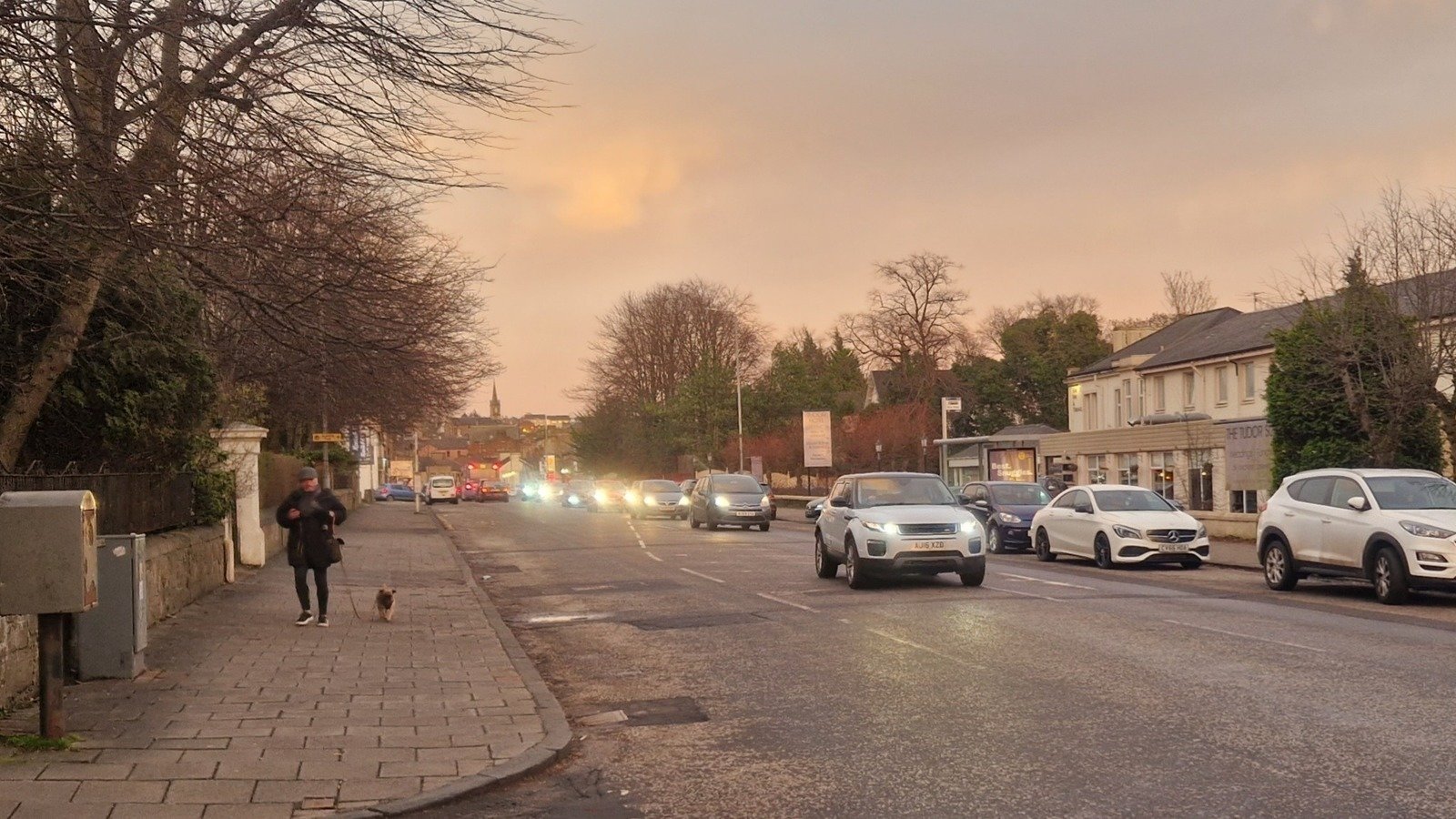Petition · Provide a Safe Crossing Point for Pedestrians on Alexander