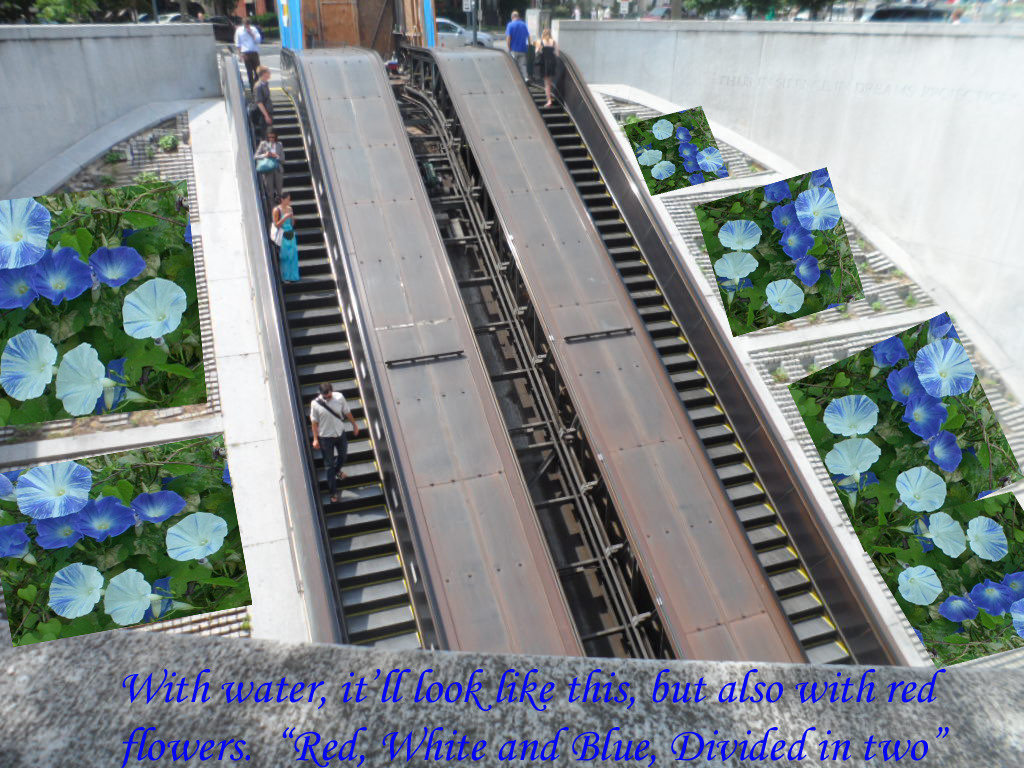 Petition · Metro Let Our Flowers Grow United States ·