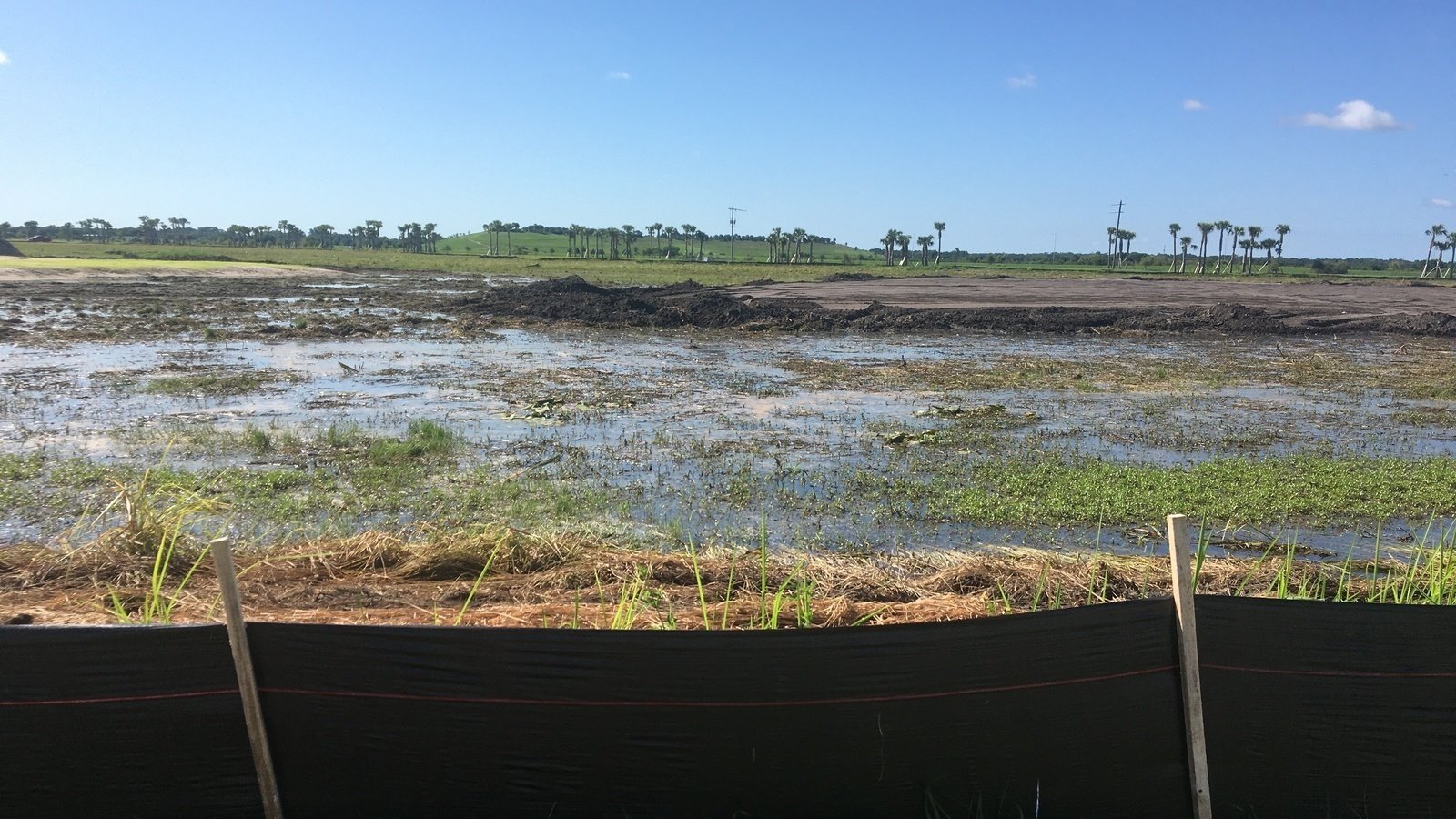 Petition · Protect the Celery Fields from nearby development Sarasota