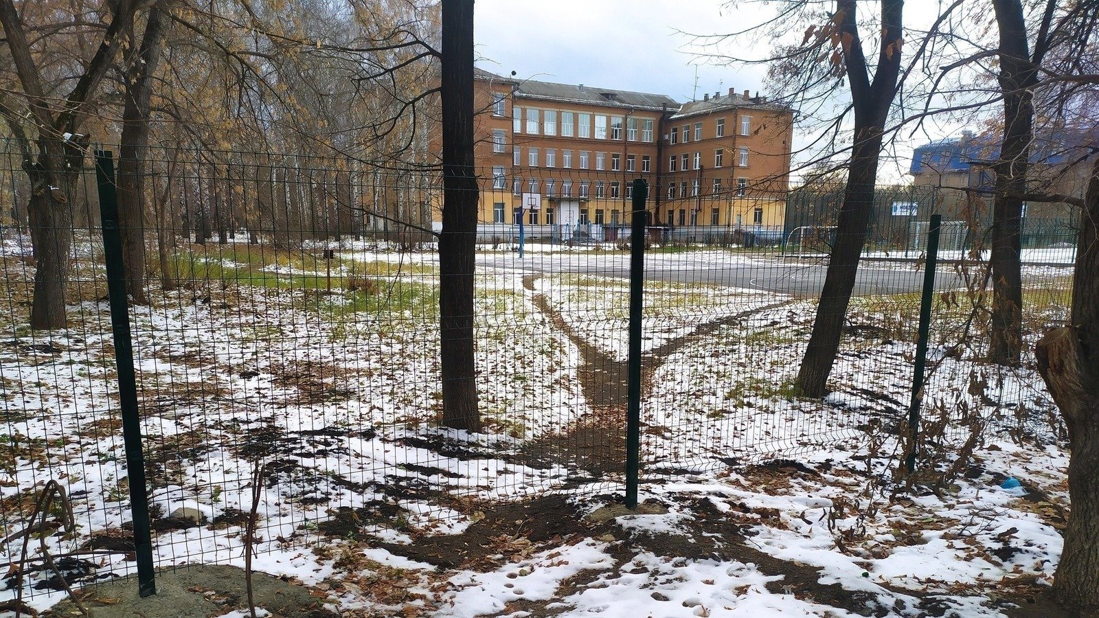 Маоу лицей солярис саратов