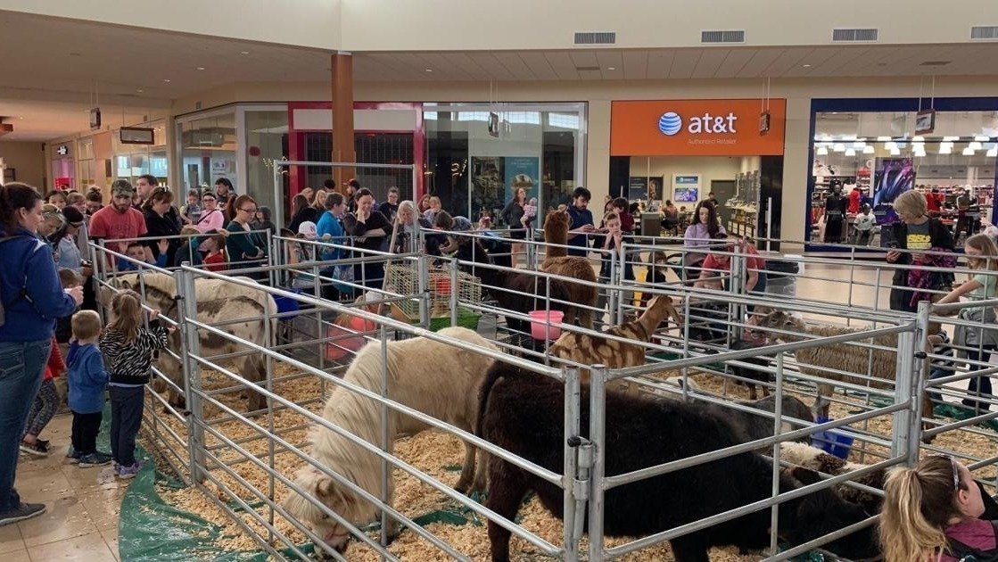 Petition · Ban Animal Petting Zoos From Keeping Animals In The Wrong