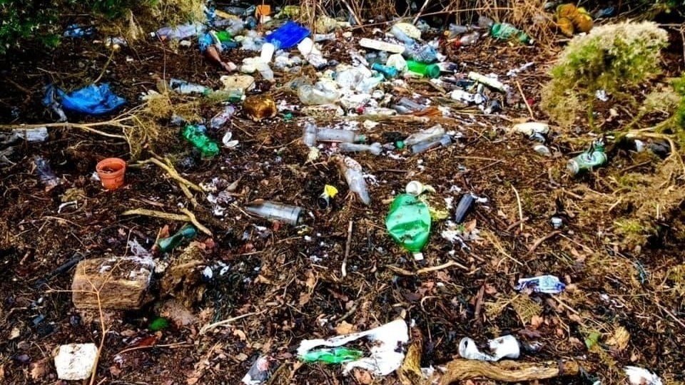 Petition · More bins for Midleton ·