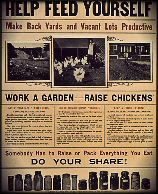 Petition · Ripon City Council Allow backyard fowl/chickens in the city