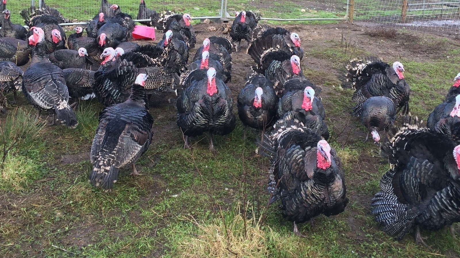 Petition · They must consider agricultural planning applications under