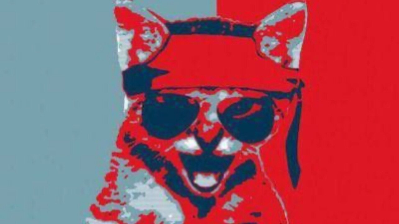 Petition · Crypto​.​com Listing of Community Owned Token ROAR - United  States · Change.org