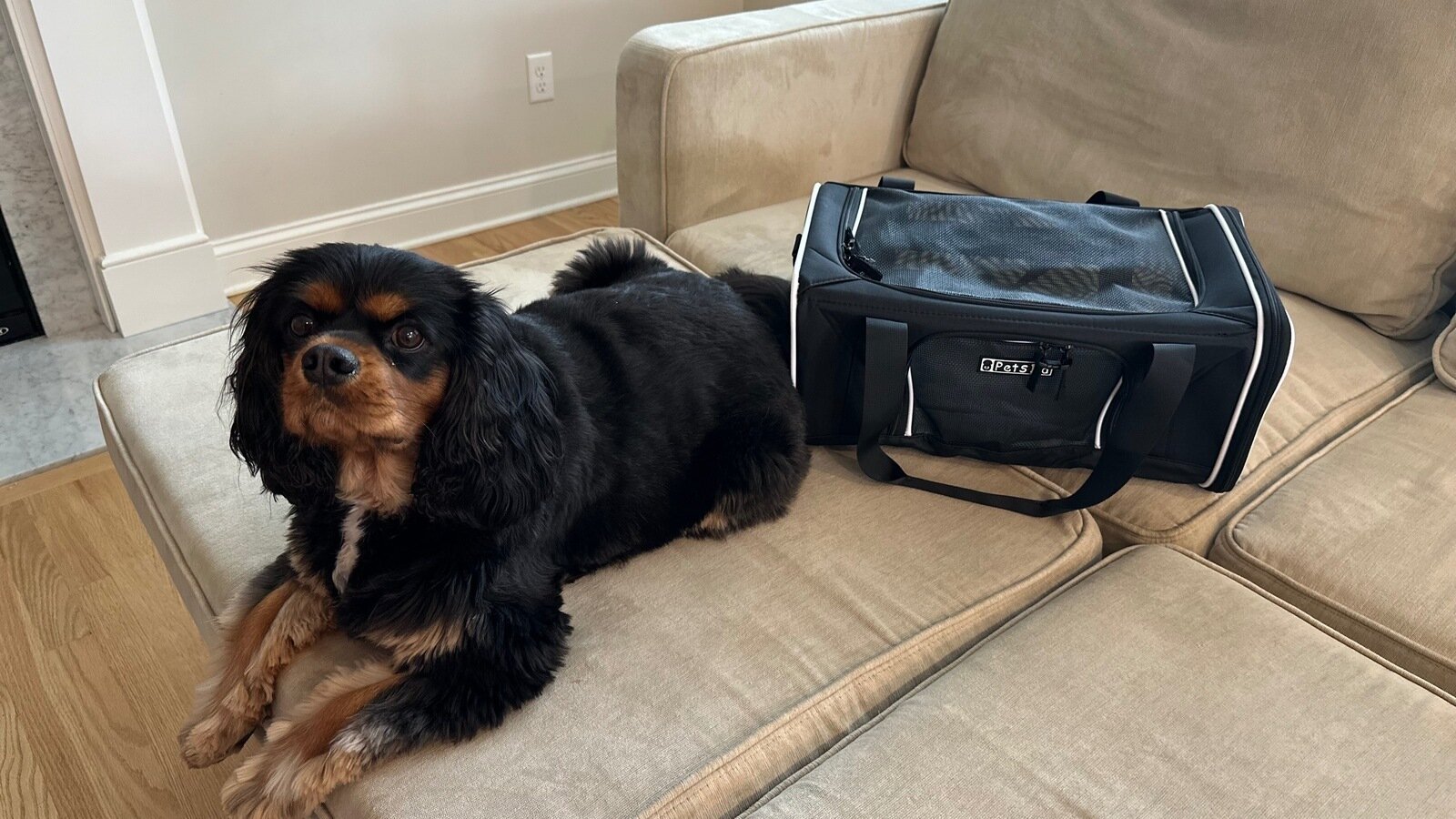 UdemyCyberTools/src/wordlist/directory-list-2.3-medium.txt at main ...