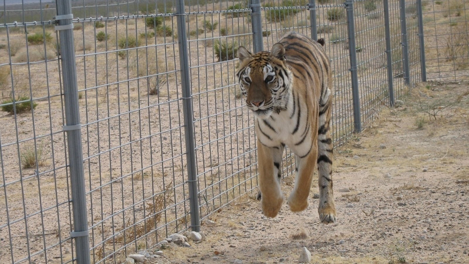 This Wildlife Category Could Change Your State Forever - 47em3ql