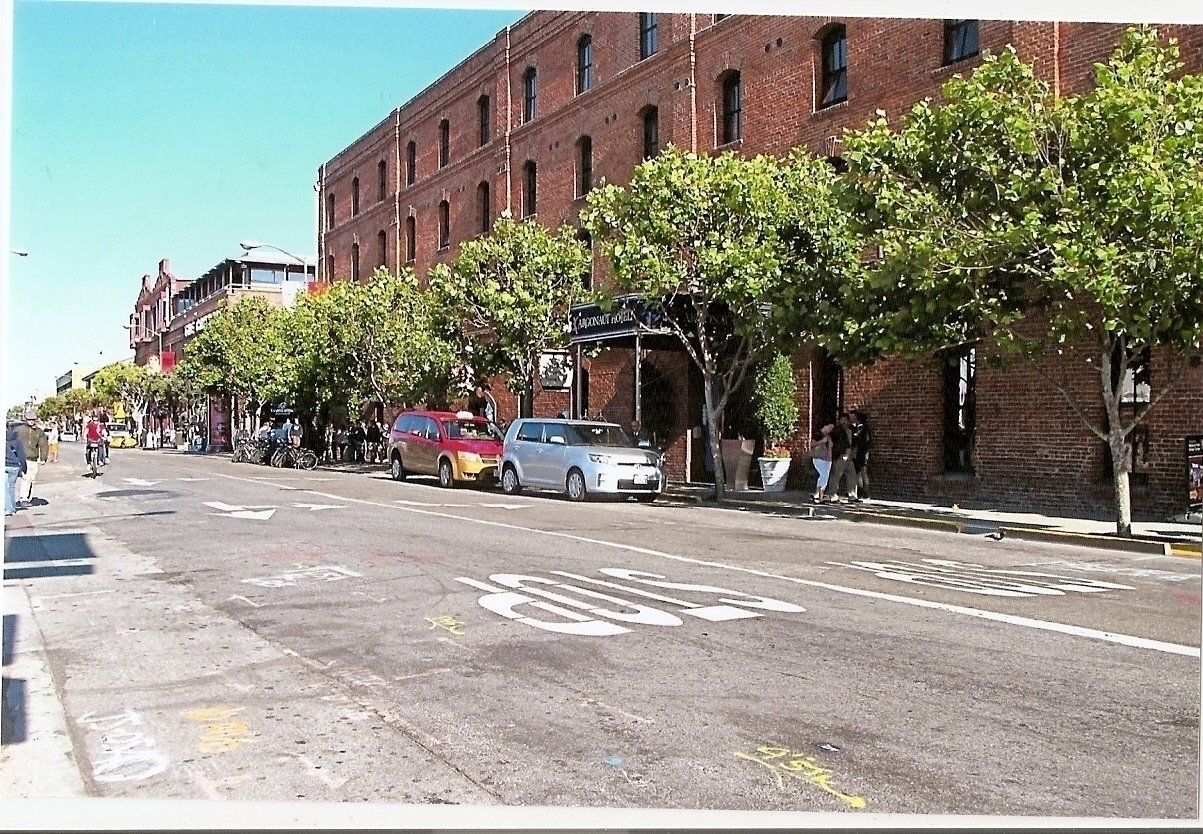 Petition · SAVE THE TREES OF JEFFERSON STREET ·